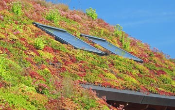 Stockingford living roof systems